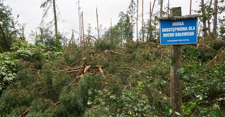 Harcerze o tragedii w Suszku. "To były tylko 2 minuty"
