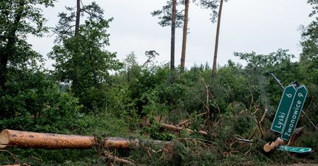 Ostrzeżenia przed burzami i gradem. Będzie też wiało