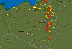 Burze i silny deszcz. Grzmi w kilku województwach