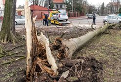 Ofiara śmiertelna nawałnicy. Mężczyznę przygniotło drzewo