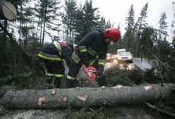 Wichura szaleje nad Polską - są dwie ofiary śmiertelne i wielu rannych