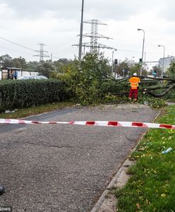 Pogoda. Mortimer szaleje nad Polską. Jedna osoba nie żyje, są ranni. Wichura sparaliżowała centrum Lublina