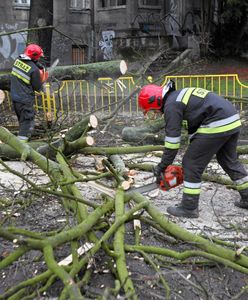 Kiedy przestanie wiać? Ostrzeżenia IMGW