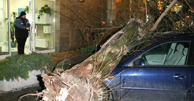 1 osoba zginęła, 5 rannych w wyniku wichur nad Polską