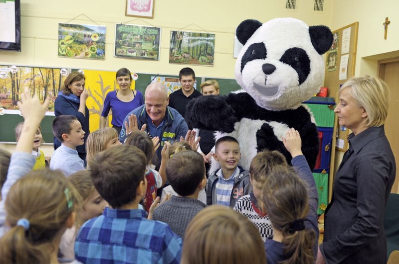 Dzień pandy wielkiej. Wyjątkowe święto wyjątkowego misia