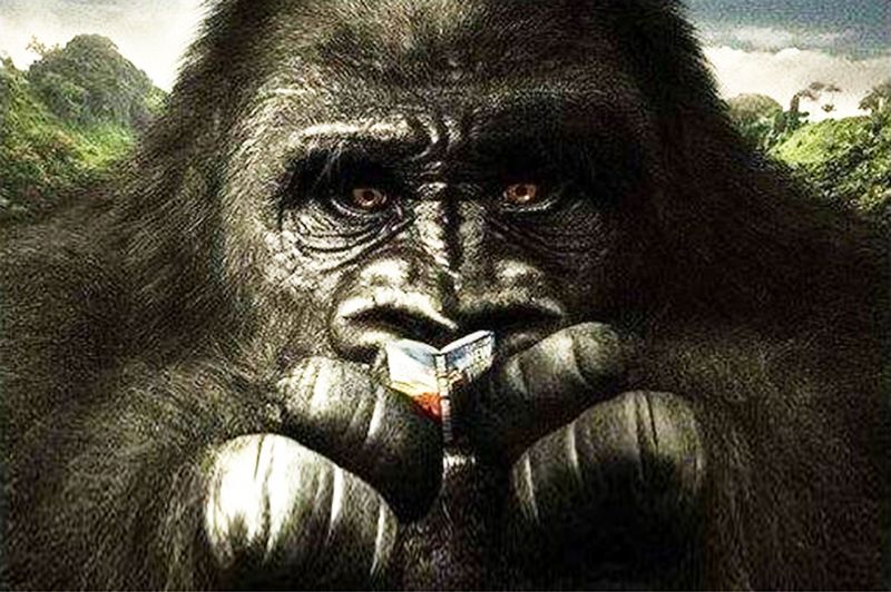 Procent z matury i wymarzona komisja? Oto najlepsze memy