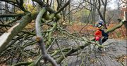 Tauron usuwa skutki wichur i gradobić