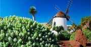 Fuerteventura. Słońce, spokój, wiatraki i tajemnice