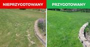 Jak przygotować trawnik na zimę? Te triki sprawią, że wiosną pięknie odrośnie