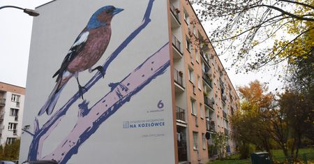 "Ptasie bloki" w Krakowie. Mieszkańcy pokochali nowe murale