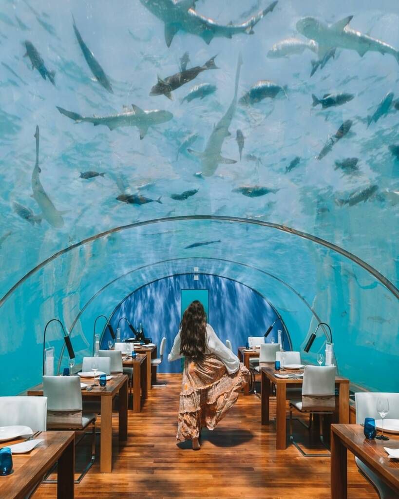 conrad_maldives/Instagram