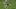SimCity w Minecrafcie. Tak. Sim City w Minecrafcie