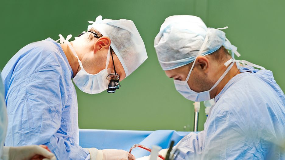 Pierwsze próby przeszczepu głowy przeprowadzono na zwierzętach już w latach 50. XX w.