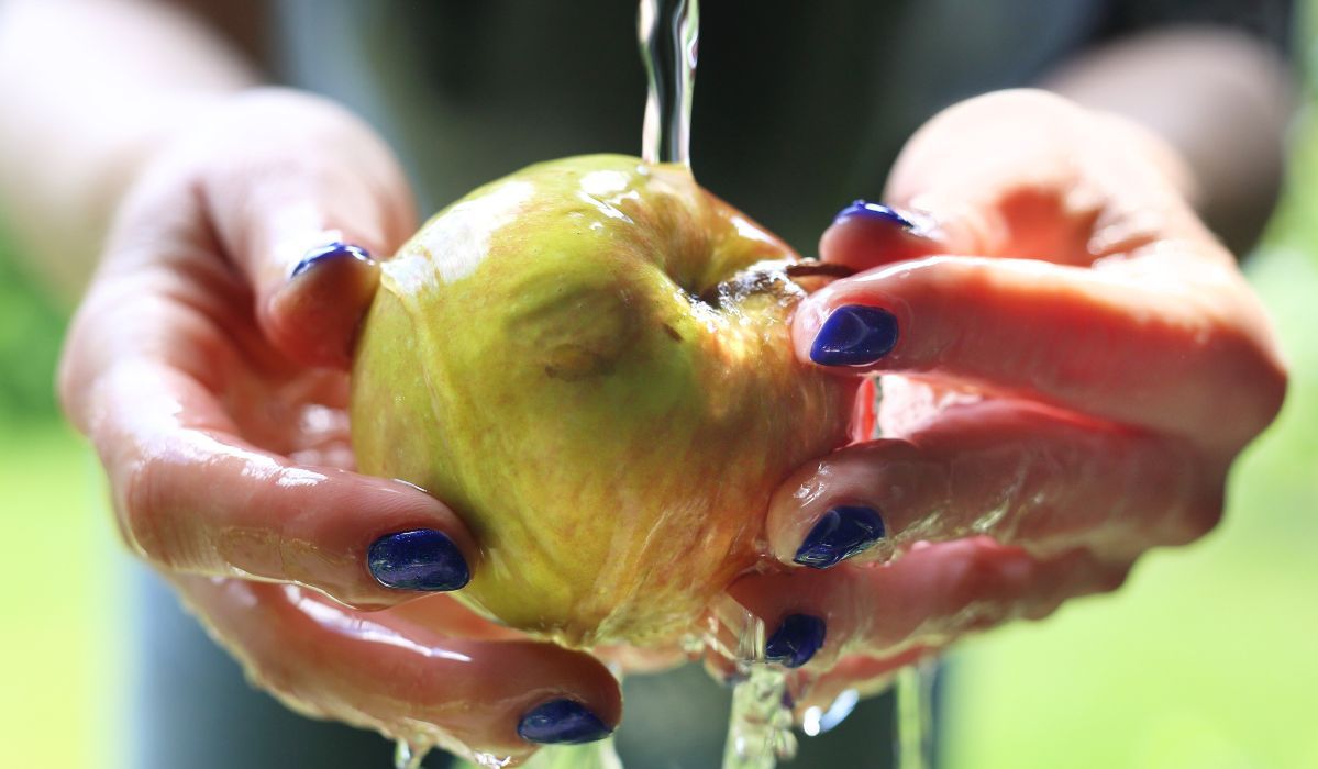 Mycie jabłka/źródło: Robert Przybysz/AdobeStock