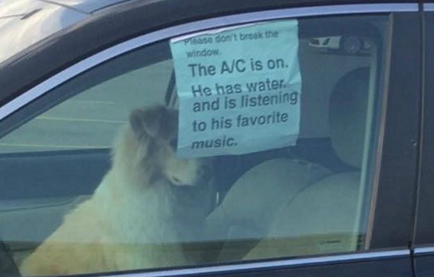 Mężczyzna zostawił psa w upalny dzień w samochodzie. To, co napisał na kartce podzieliło internautów
