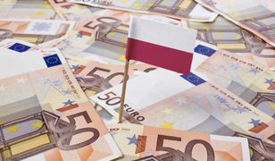 Euro najdroższe od pół roku. Znowu powyżej 4,30 zł