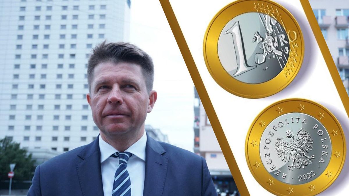 Ryszard Petru i proponowany przez niego wygląd "polskiego" euro