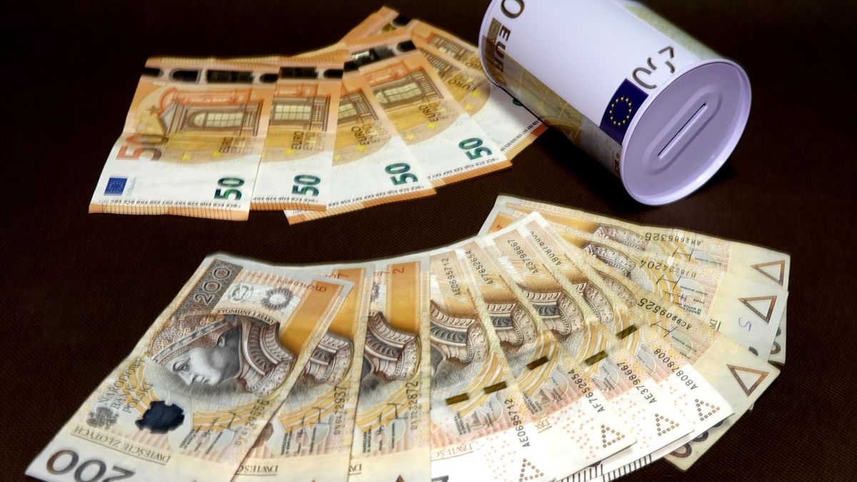 Kursy walut. Co z euro?