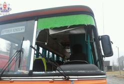 W autobus uderzyła kaczka. Dziecko zostało ranne