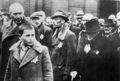 Czy Polacy ponoszą odpowiedzialność za Holokaust? Sondaż dla WP