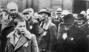 Czy Polacy ponoszą odpowiedzialność za Holokaust? Sondaż dla WP