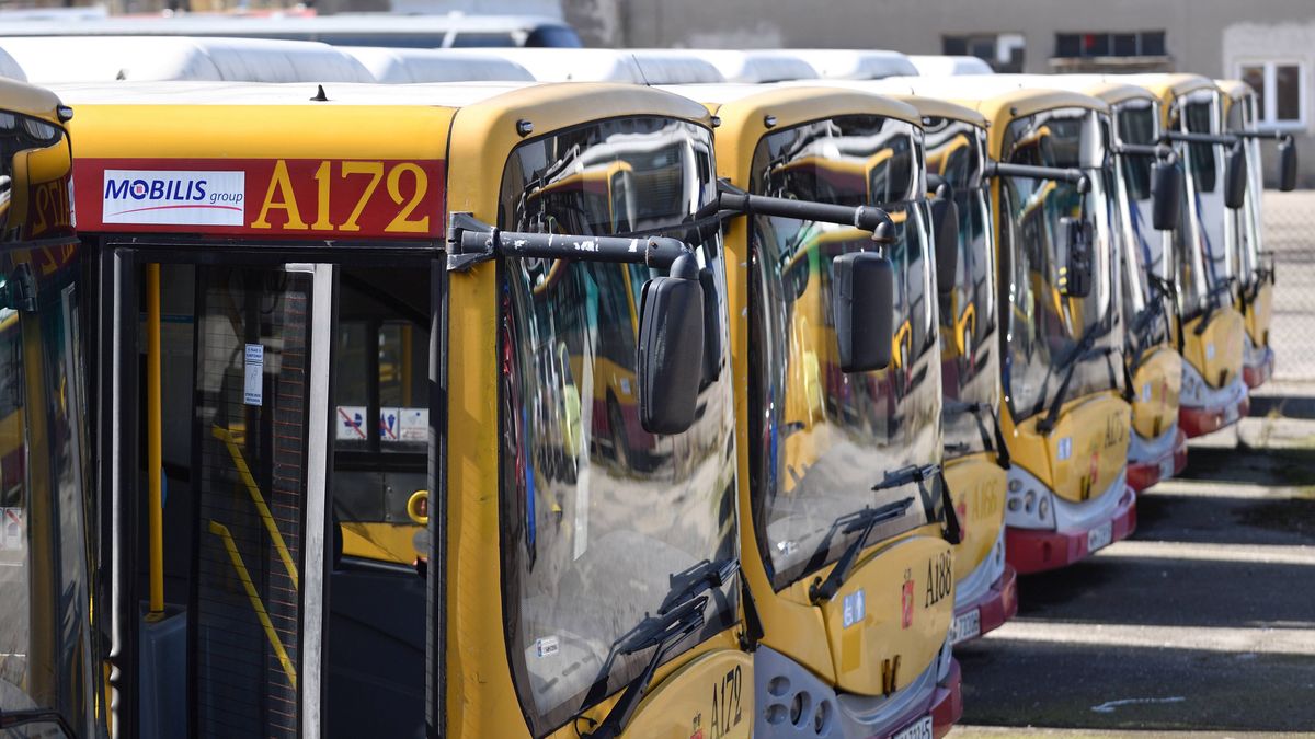 W Parlamencie trwa walka z czasem. Bez ustawy od nowego roku nie będzie biletów ulgowych u komercyjnych przewoźników.