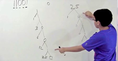 8-letni geniusz. Po wakacjach idzie na studia