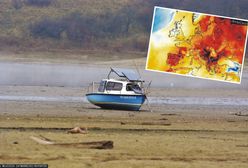 Susza w Polsce może być katastrofalna. Ostrzeżenie ministra