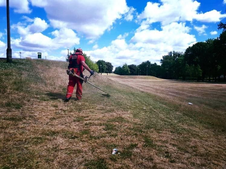 To już plaga. "Sianokosy" w miastach. Koszą wysuszone trawniki mimo apeli