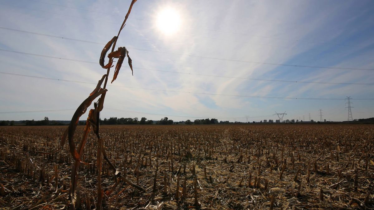 Scenariusze dla świata są niepokojące