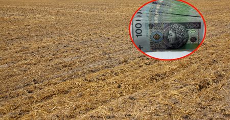 1000 plus, czyli nowy rządowy program. "Puste słowa. Niewielu rolników dostanie pieniądze"