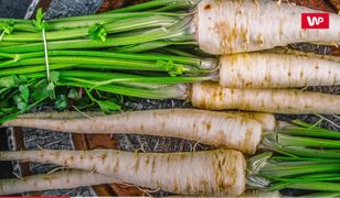 Podróbki w mrożonkach i na straganach. Zamiast pietruszki wciskają tańszy pasternak