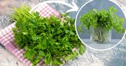 Dodaj jedną łyżkę do wody. Natka pietruszki będzie świeża dłużej niż miesiąc - bez zamrażania