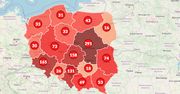 Koronawirus: w Polsce ponad 1200 zakażeń, na całym świecie: ponad 530 tys. [Mapa koronawirusa]