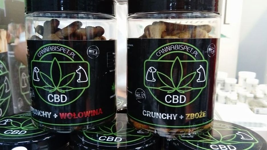 Przykładowe produkty na targach.