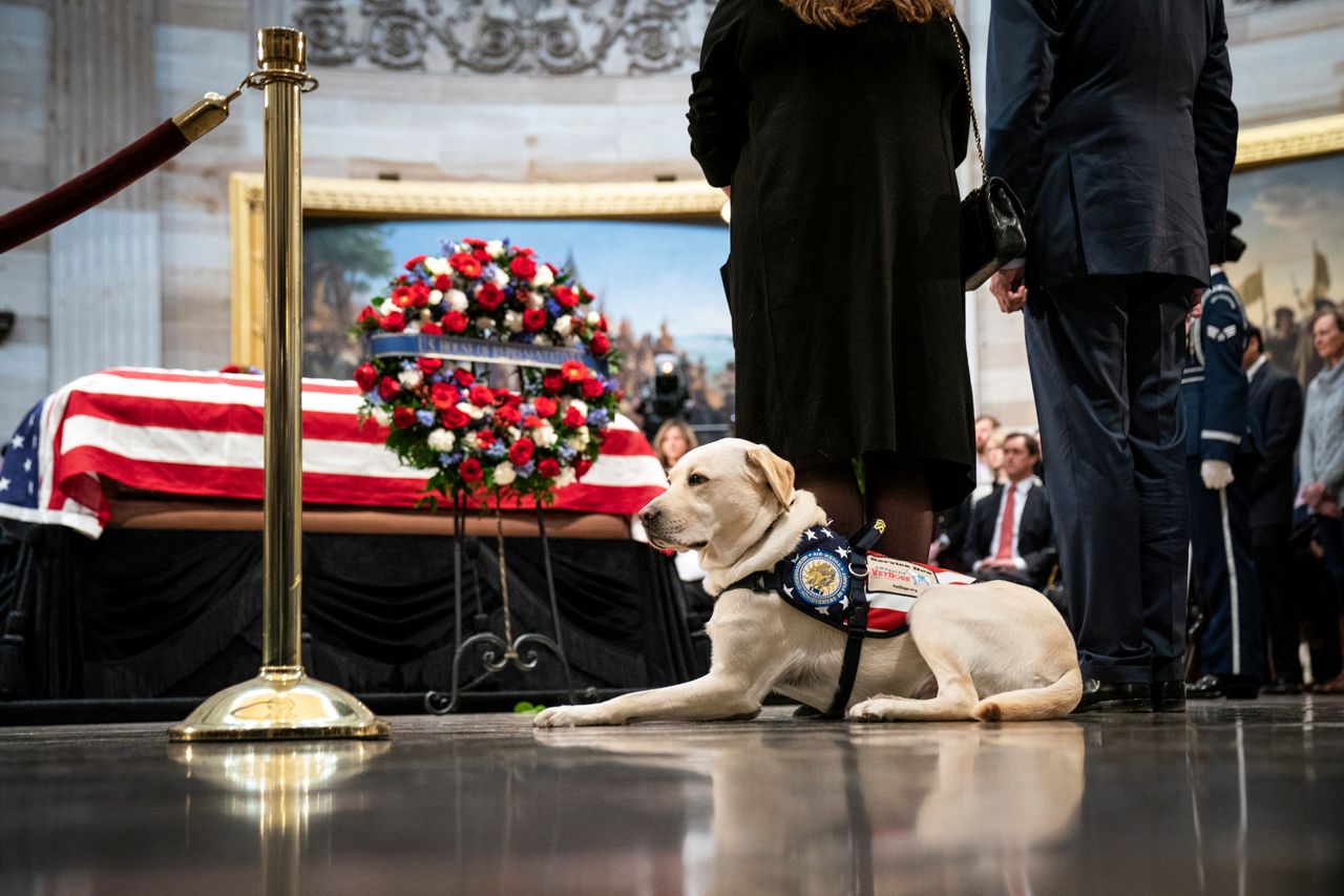 Pies George’a Busha Sully otrzyma własny pomnik w Teksasie