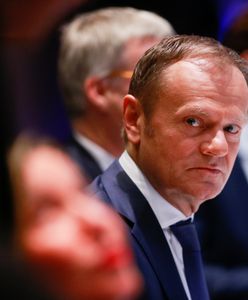 Donald Tusk wejdzie do gry. Wszystko zależy od wyniku PO w wyborach samorządowych