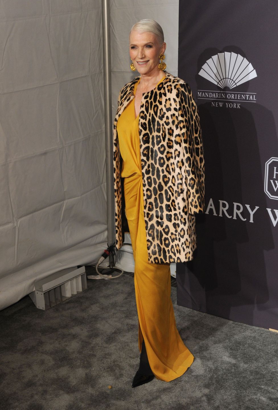 NEW YORK - NY - FEBRUARY 8: Maye Musk at amfAR New York Fashion Week Gala at Cipriano Wall Street in New York City on February 8, 2017. CAP/MPI/JP©JP/MPI/Capital Pictures