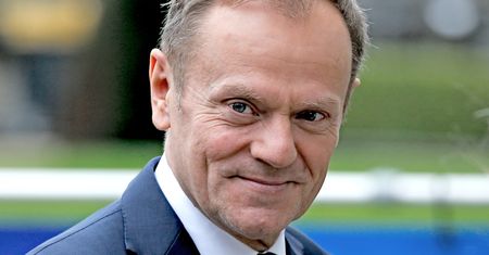 "Świetne", "poruszające". Internauci oceniają przemowę Donalda Tuska