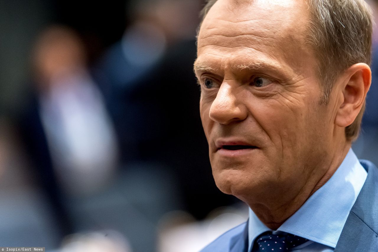 Donald Tusk wydaje książkę. Marketing, kontrowersyjny tytuł i pytania, co zmieni - czyli politycy o "Szczerze"