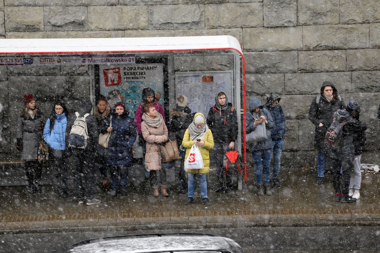 Astronomiczna wiosna już we wtorek. Na tę prawdziwą jeszcze poczekamy