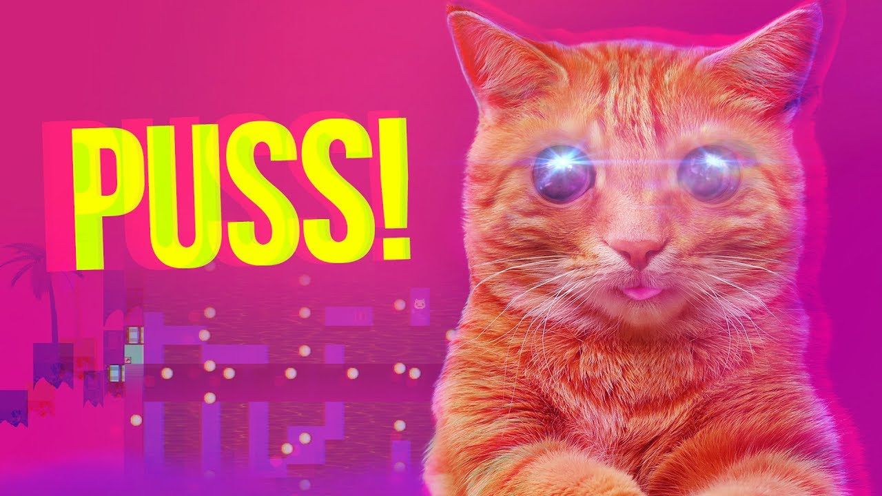 To koniec, widziałam już wszystko, czyli Puss!