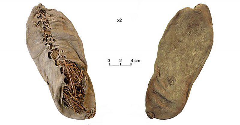 Pinhasi et al./journals.plos