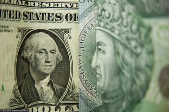 Kursy walut. Skup obligacji przez NBP nie pomógł rynkowi