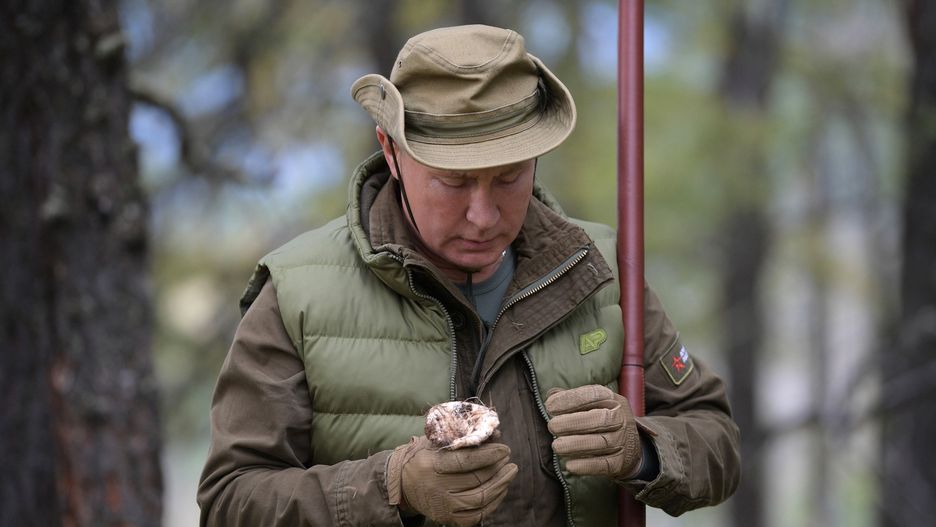 Władimir Putin wybrał się na grzybobranie