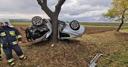 Jawor. Samochód owinął się wokół drzewa. Kierowca wyszedł z niego o własnych siłach