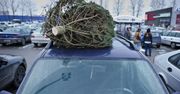 Choinka na dachu samochodu? Zrób to tak, by nie "zarobić" mandatu za 500 zł