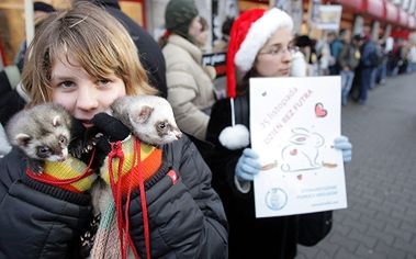 Protestowali przeciwko futrom