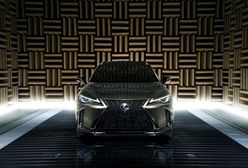 7 rzeczy, które musisz wiedzieć o nowym Lexusie UX