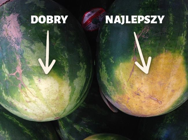 Dojrzałe arbuzy zawsze mają kremowe a nawet pomarańczowo-żółte plamy.